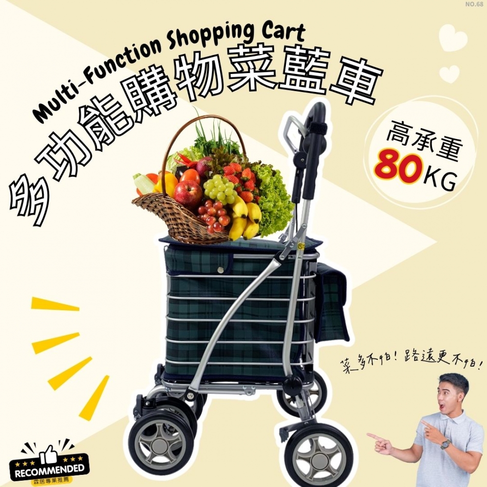 多功能購物菜籃車（NO.68-43綠格紋款 ）-日本菜籃車 老人散步車 步行輔助車 可推可坐手推車